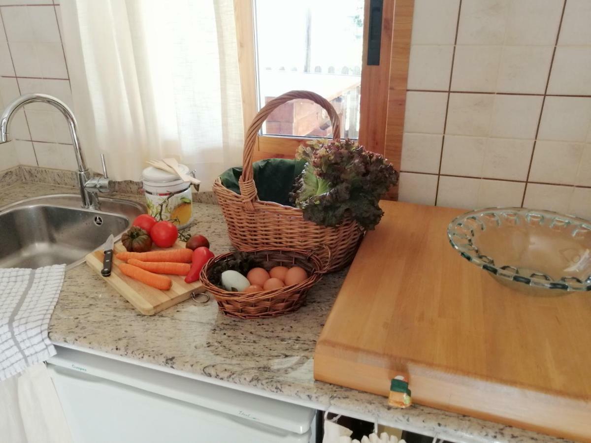 הוילה ויגו Casita Nekagarden מראה חיצוני תמונה